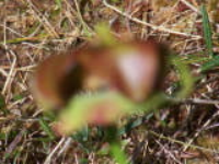 100_1586.jpg
